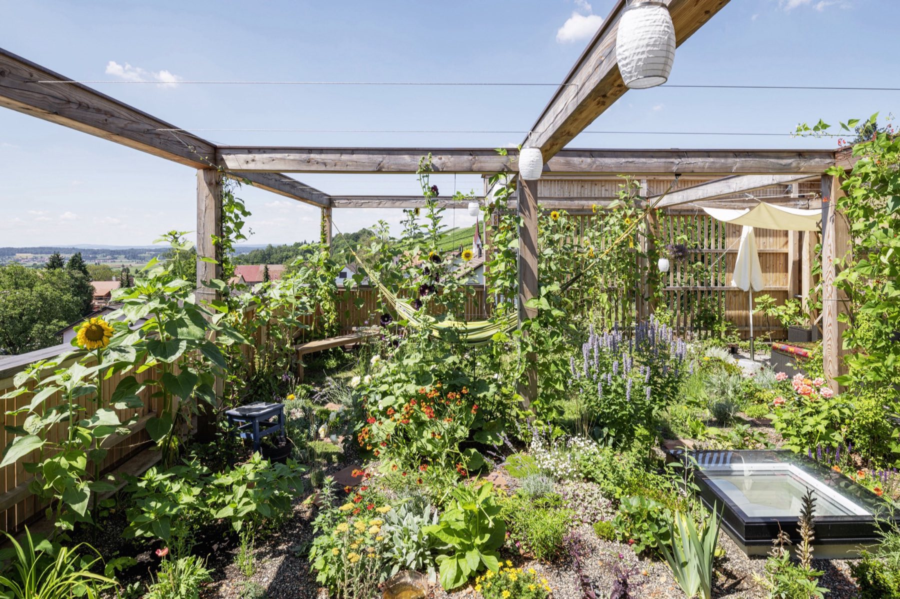 Begrüntes Flachdach mit Pergola in Nussbaumen