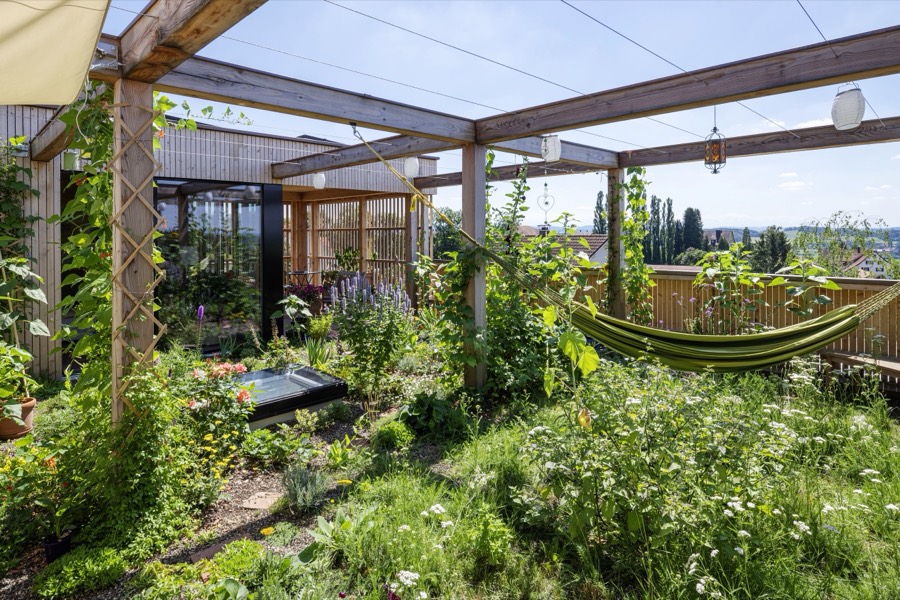 Dachgarten mit Pergola und Bepflanzung